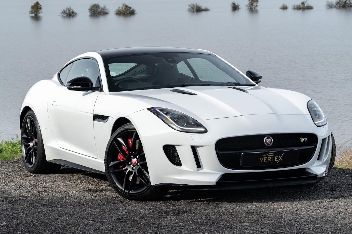 Used Jaguar F-Type 2014 for sale - 77581561: Photo 3