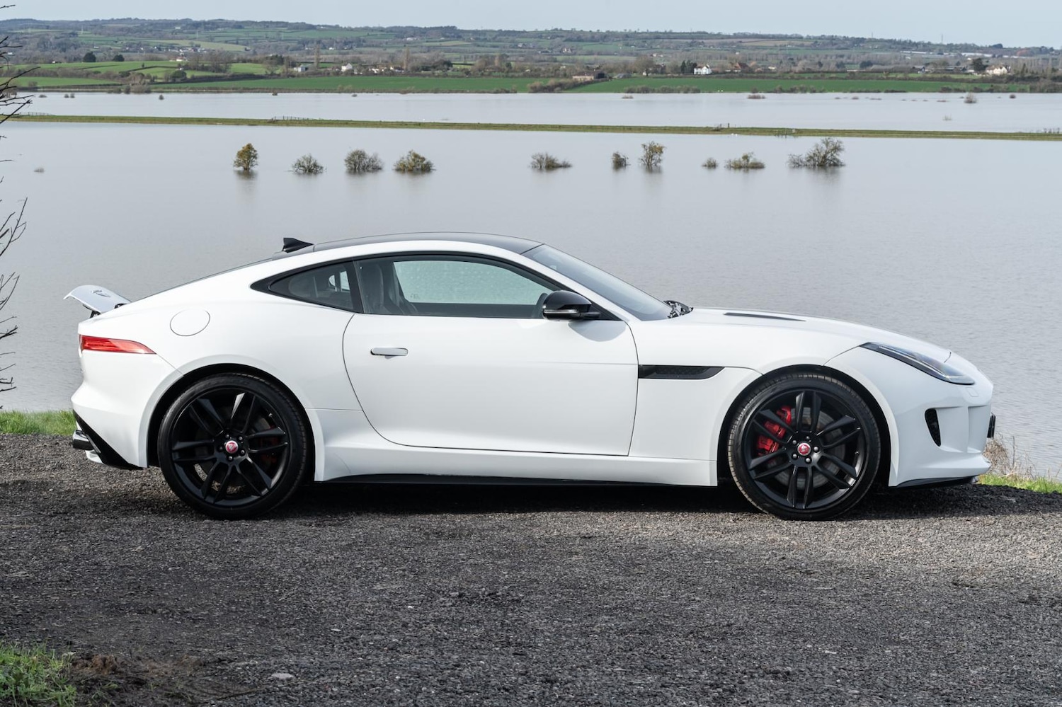 Used Jaguar F-Type 2014 for sale - 77581561: Photo 4