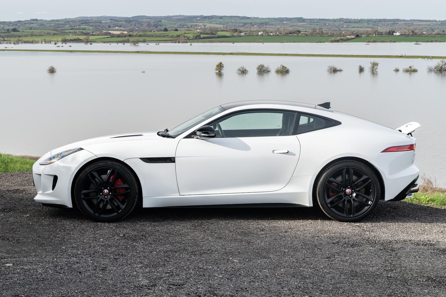 Used Jaguar F-Type 2014 for sale - 77581561: Photo 5