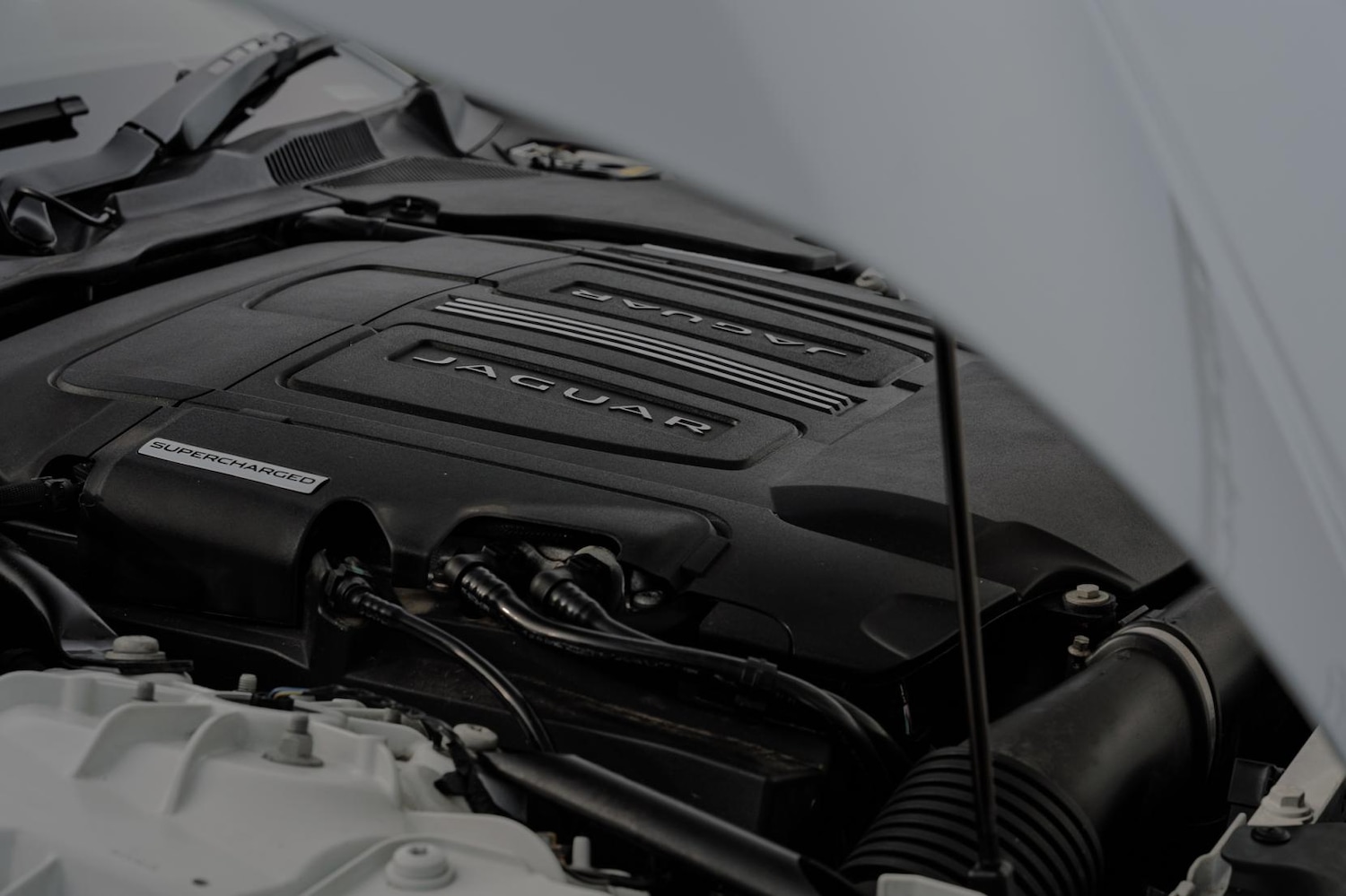 Used Jaguar F-Type 2014 for sale - 77581561: Photo 63