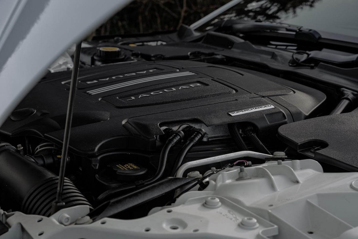 Used Jaguar F-Type 2014 for sale - 77581561: Photo 65