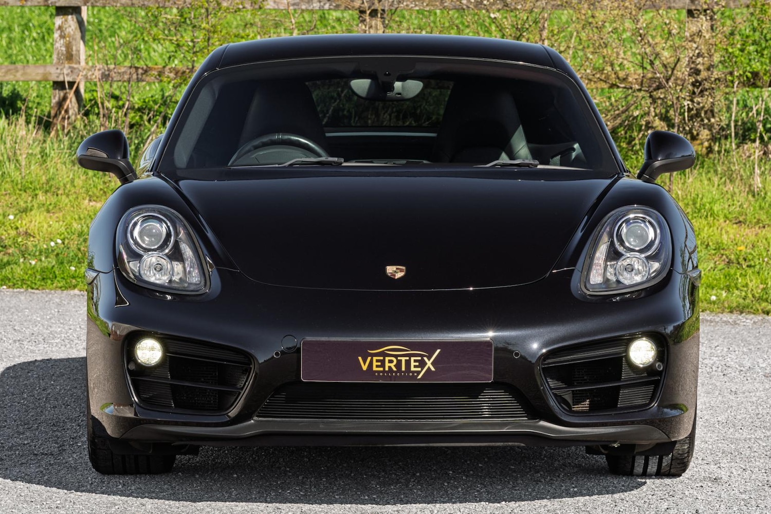 Used Porsche Cayman 2016 for sale - 77950895: Photo 2