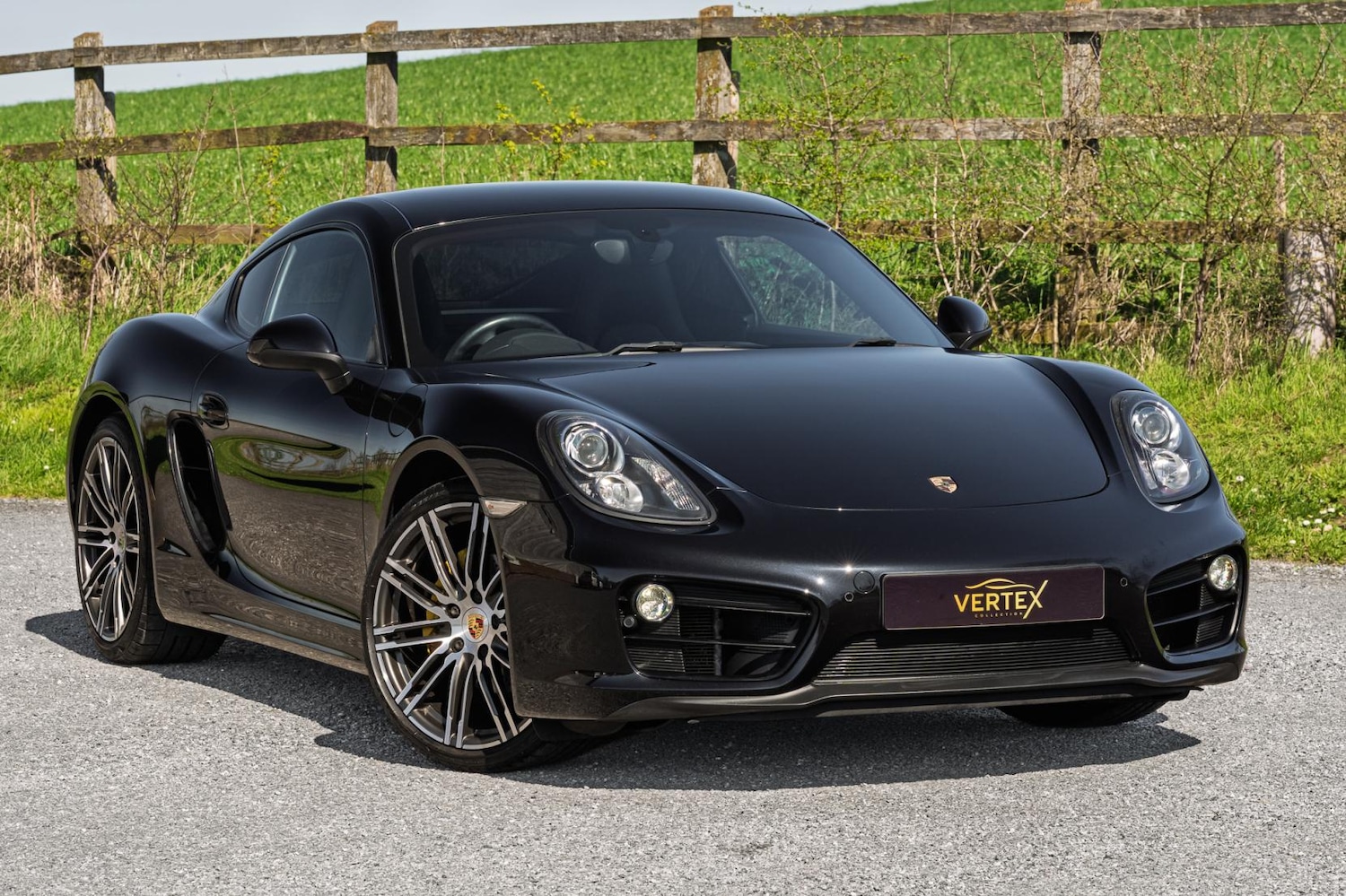 Used Porsche Cayman 2016 for sale - 77950895: Photo 3