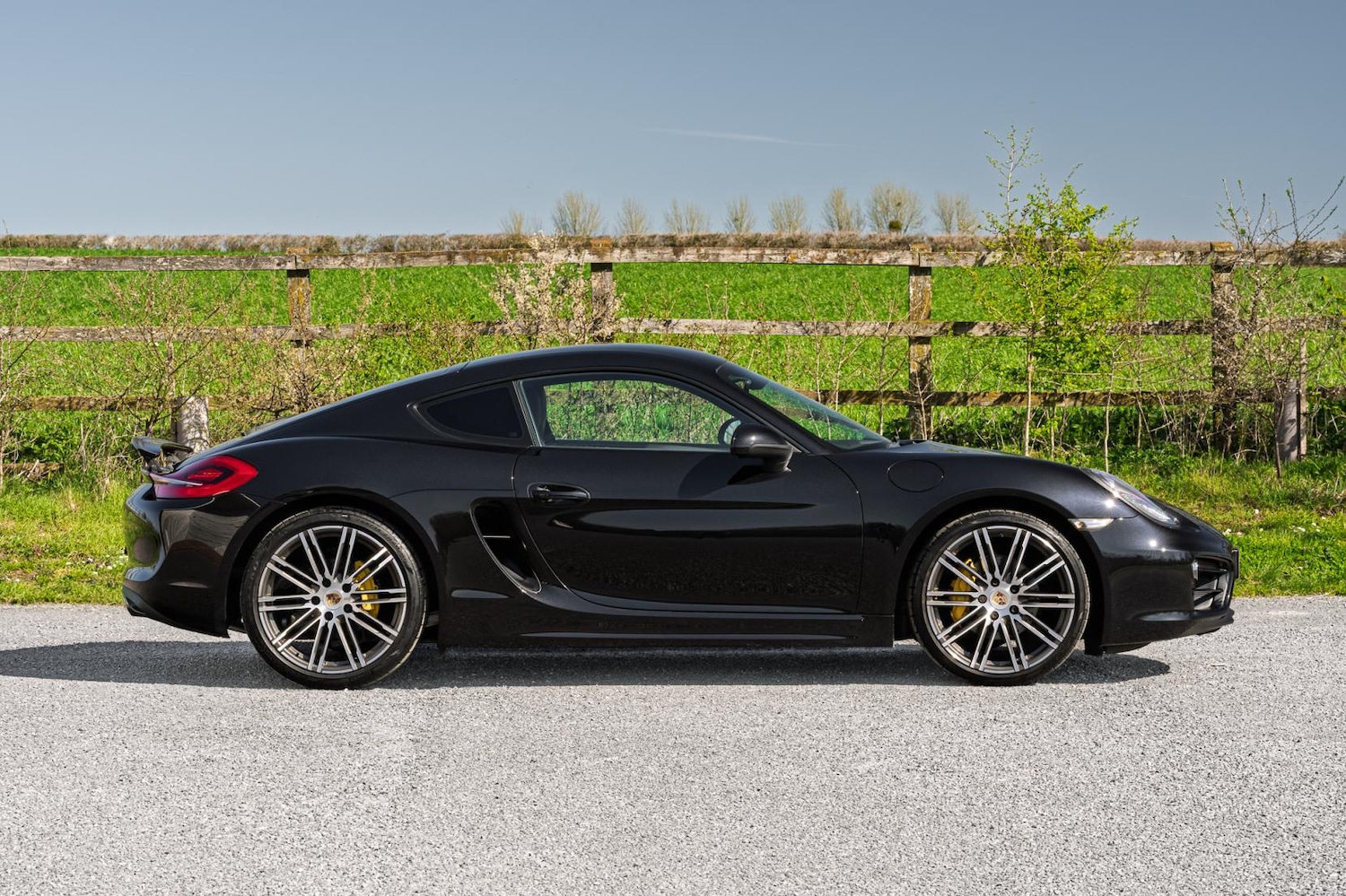 Used Porsche Cayman 2016 for sale - 77950895: Photo 4