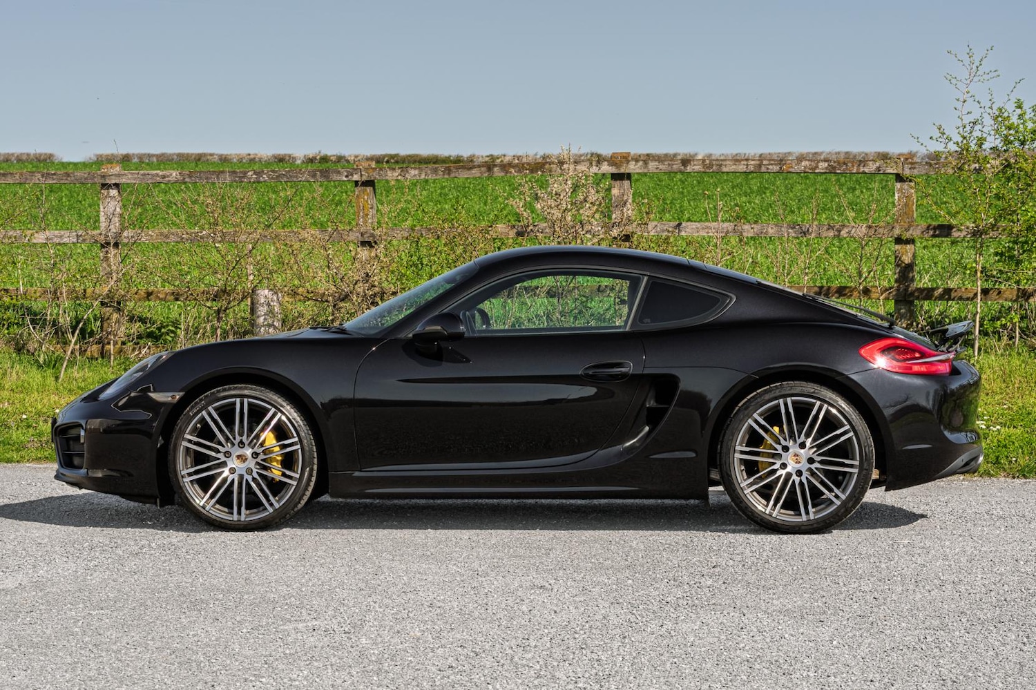 Used Porsche Cayman 2016 for sale - 77950895: Photo 8