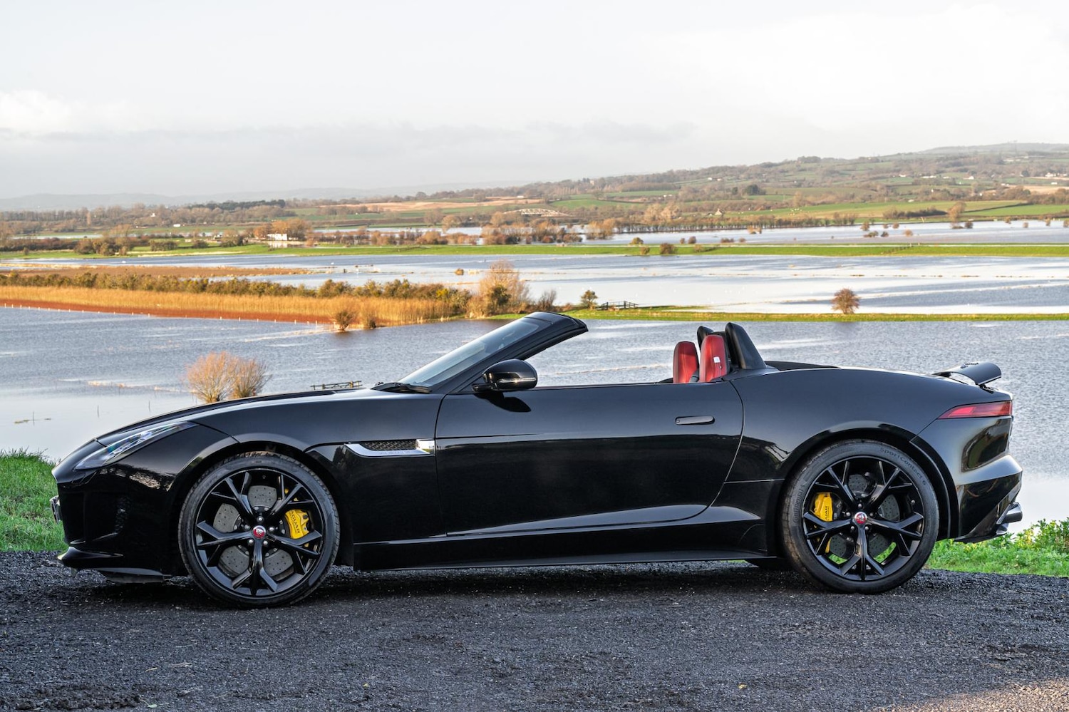 Used Jaguar F-Type 2014 for sale - 77005941: Photo 5