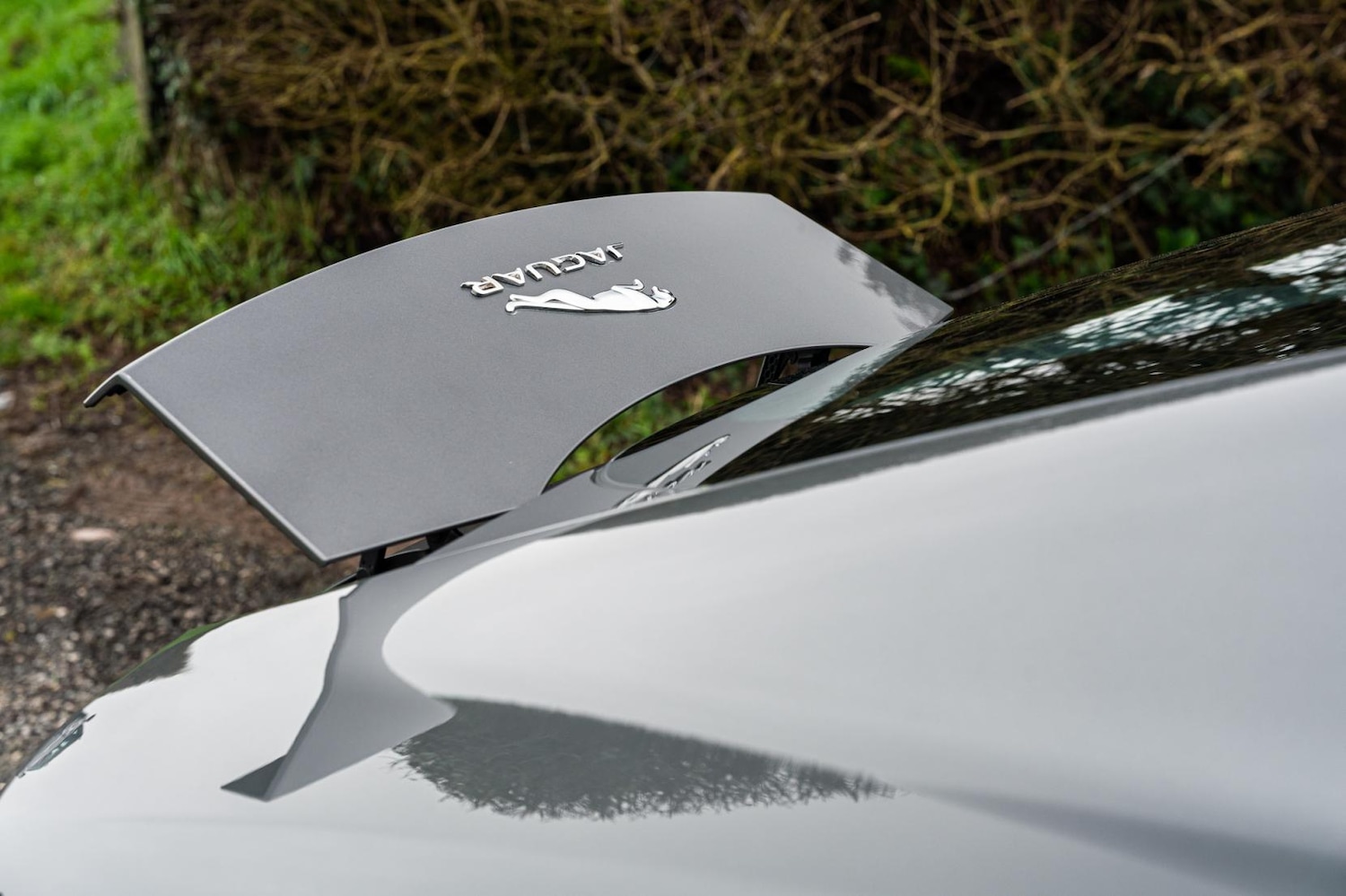 Used Jaguar F-Type 2017 for sale - 77536396: Photo 18