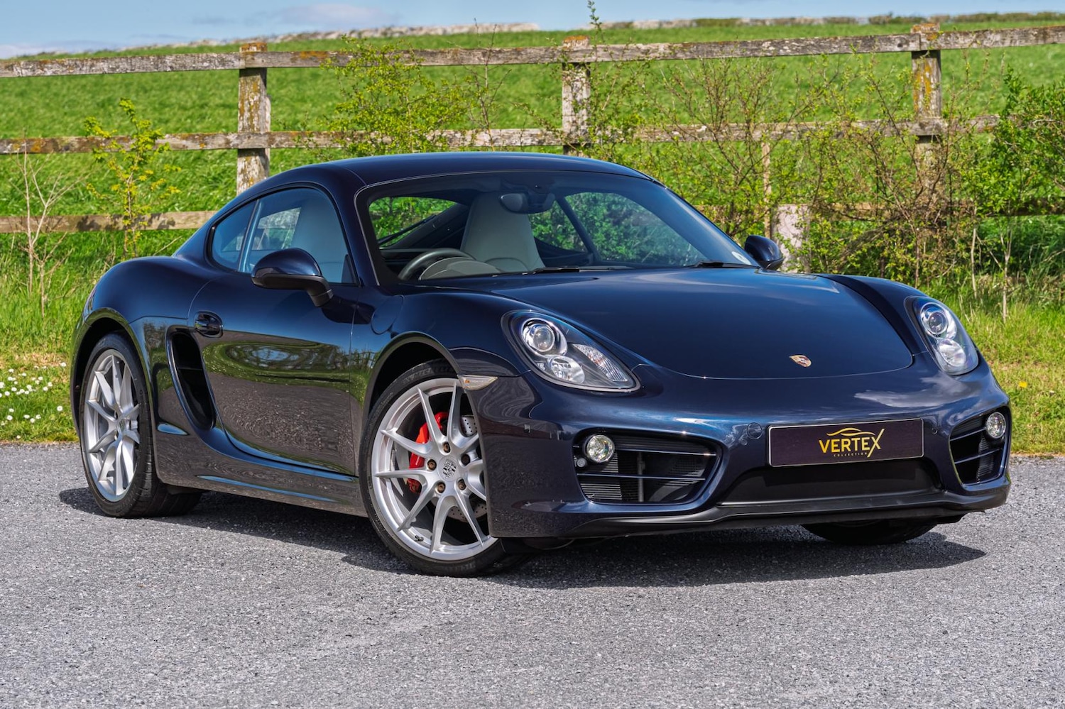 Used Porsche Cayman 2013 for sale - 78099748: Photo 3