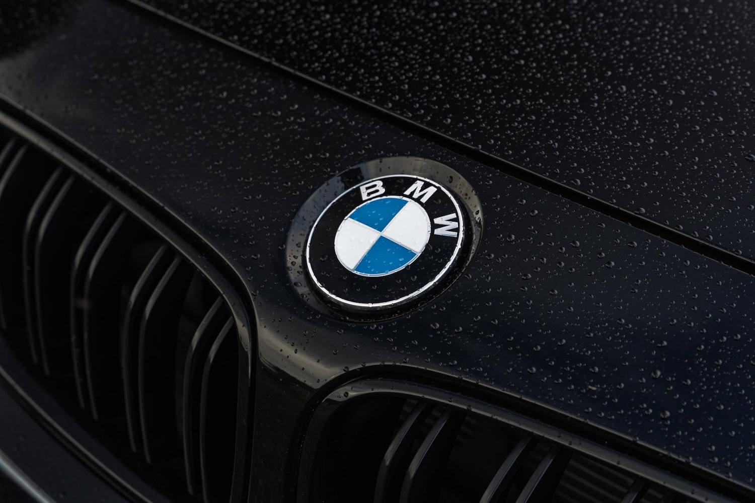 Used BMW M4 2016 for sale - 77478307: Photo 79