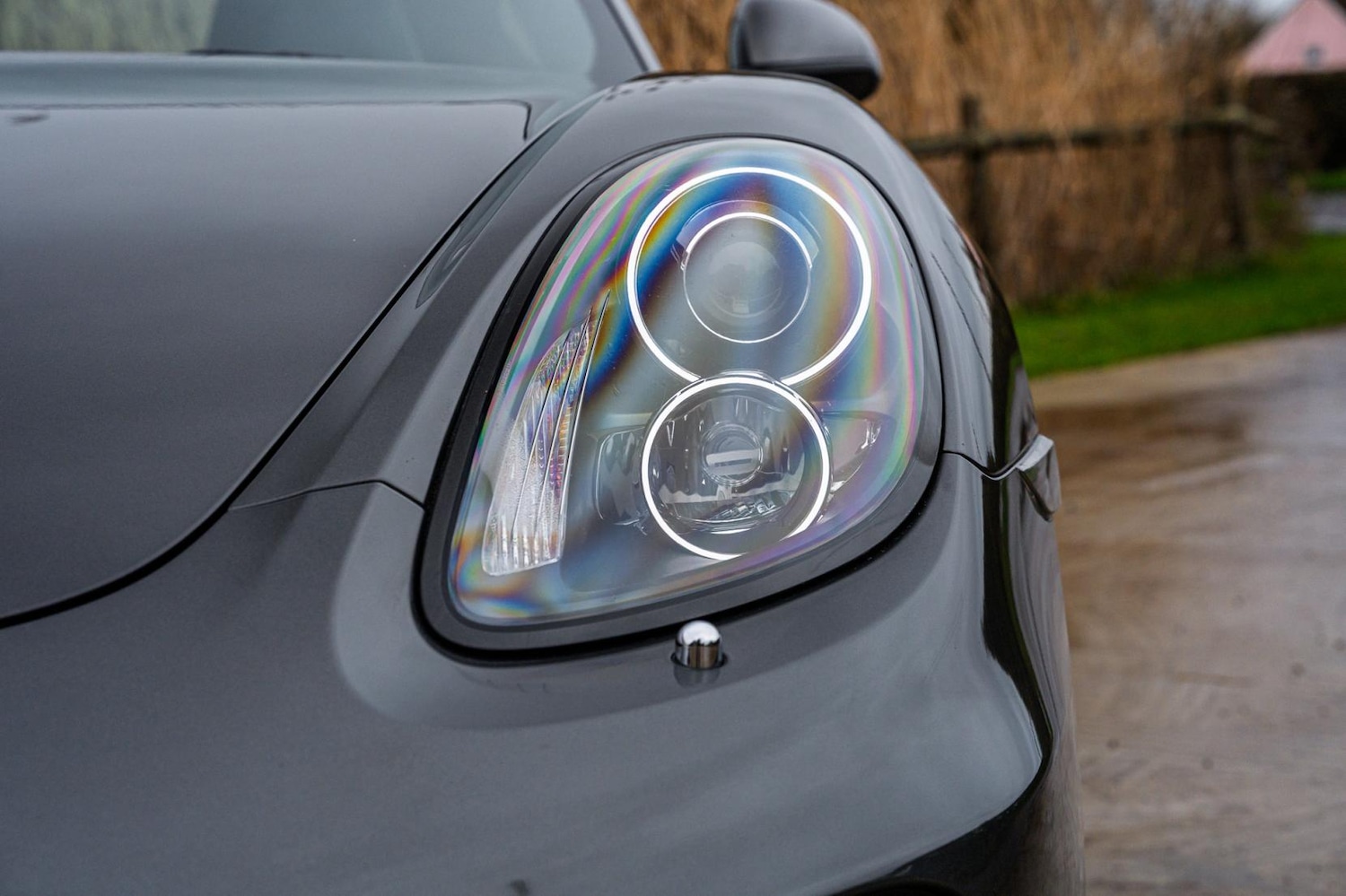 Used Porsche Cayman 2013 for sale - 77393593: Photo 16