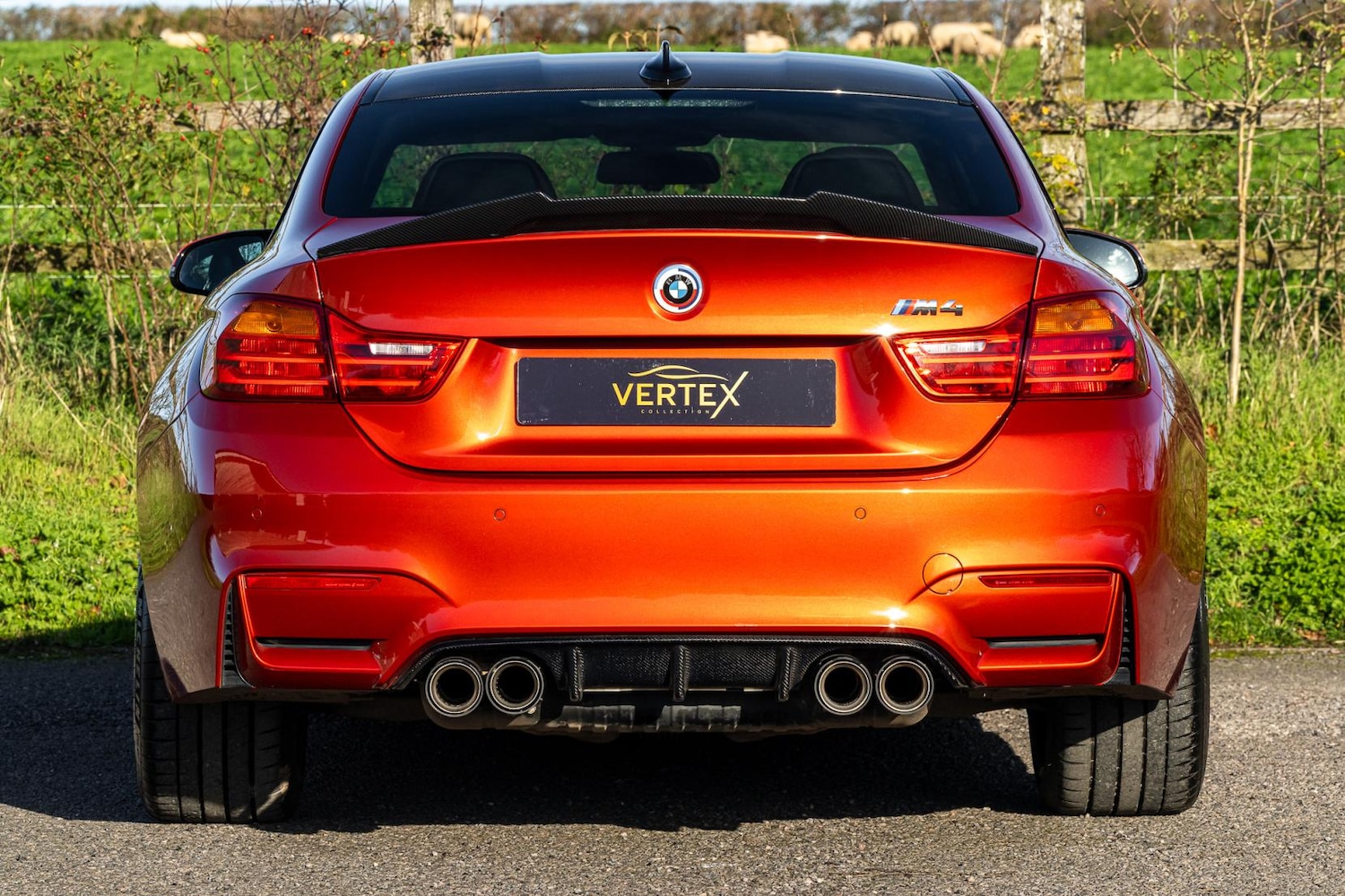 Used BMW M4 2014 for sale - 76652975: Photo 4