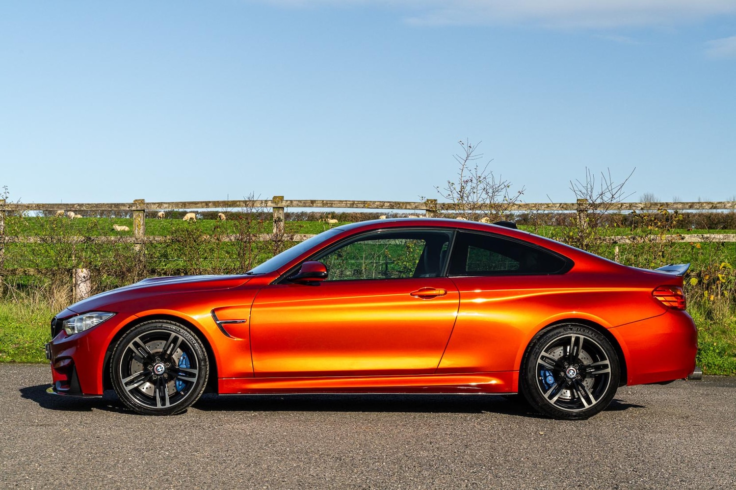 Used BMW M4 2014 for sale - 76652975: Photo 8