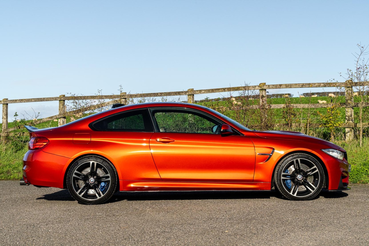 Used BMW M4 2014 for sale - 76652975: Photo 9