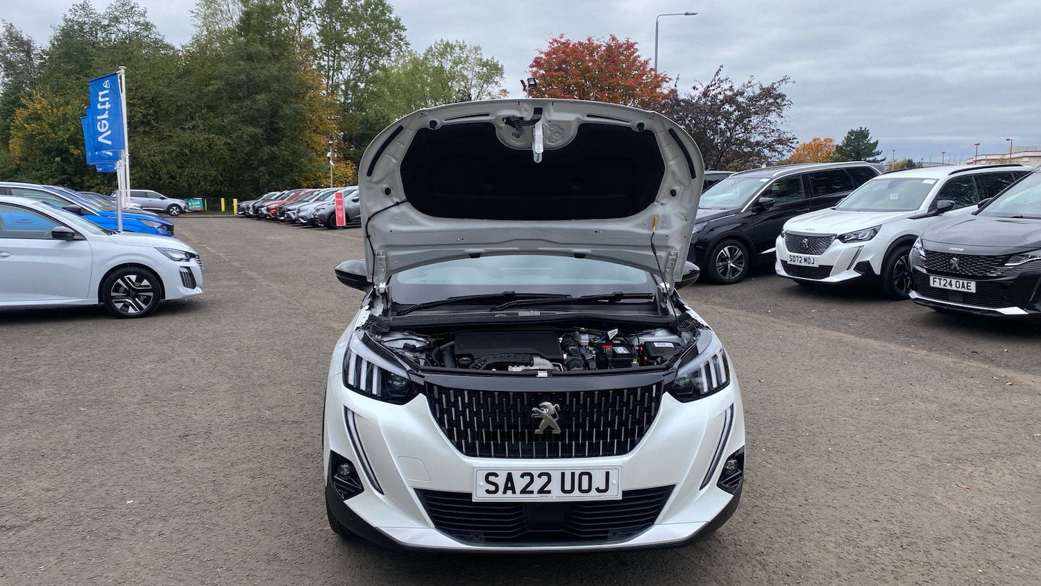 Used Peugeot 2008 2022 for sale - 76299716: Photo 8