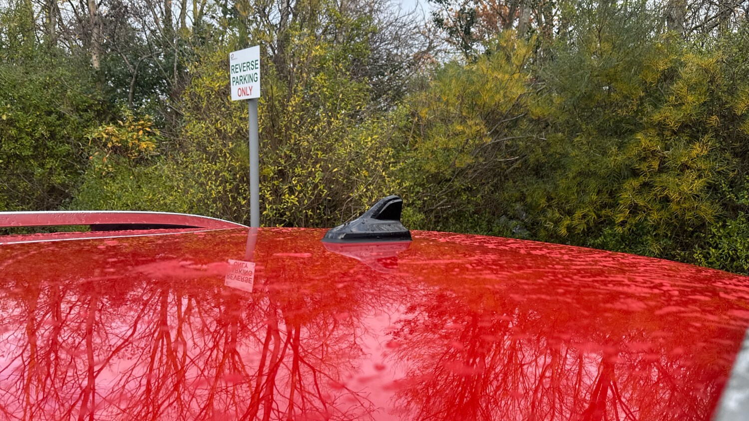 Used Volkswagen Tiguan 2024 for sale - 77742504: Photo 23