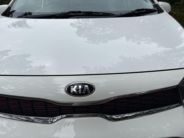 Used Kia Picanto 2019 for sale - 75677596: Photo 5