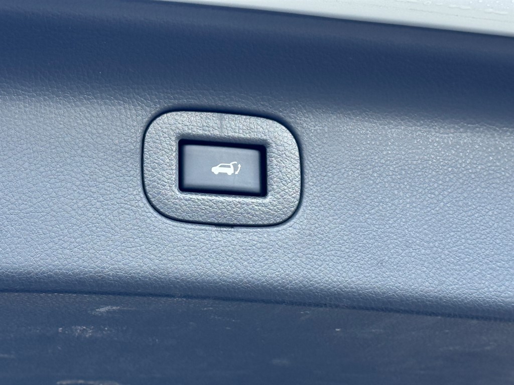 Used Nissan Elgrand 2023 for sale - 77106233: Photo 60