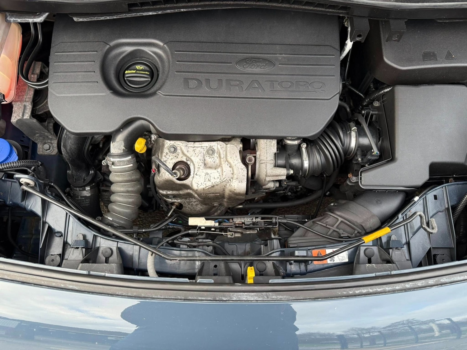 Used Ford Transit Connect 2017 for sale - 77023757: Photo 21