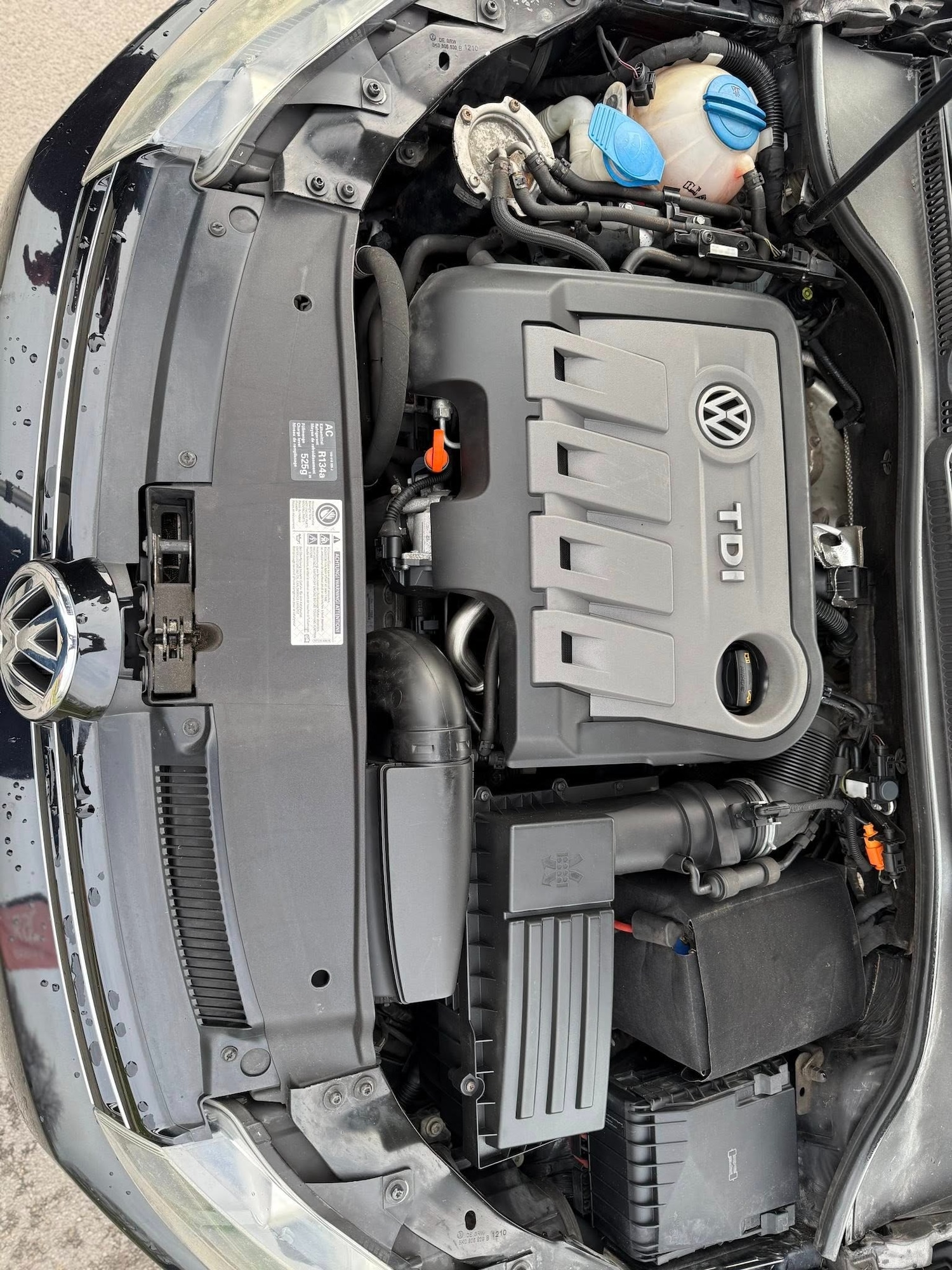 Used Volkswagen Golf 2010 for sale - 77324676: Photo 18