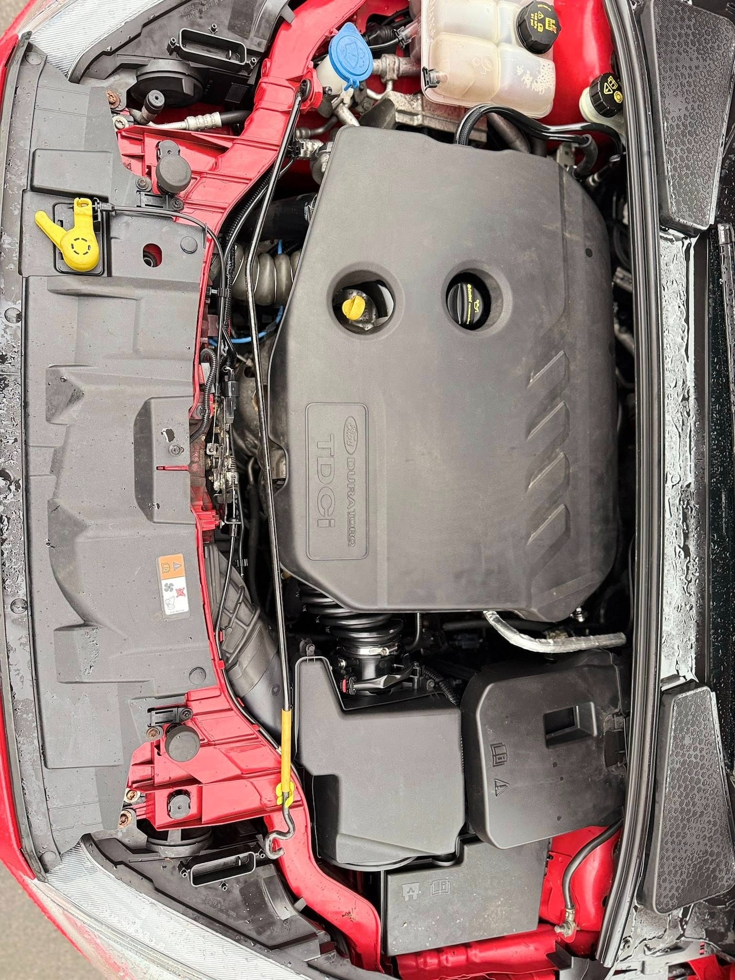 Used Ford Focus 2015 for sale - 76982619: Photo 24