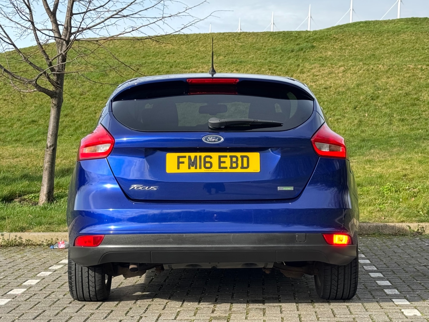 Used Ford Focus 2016 for sale - 77603756: Photo 6