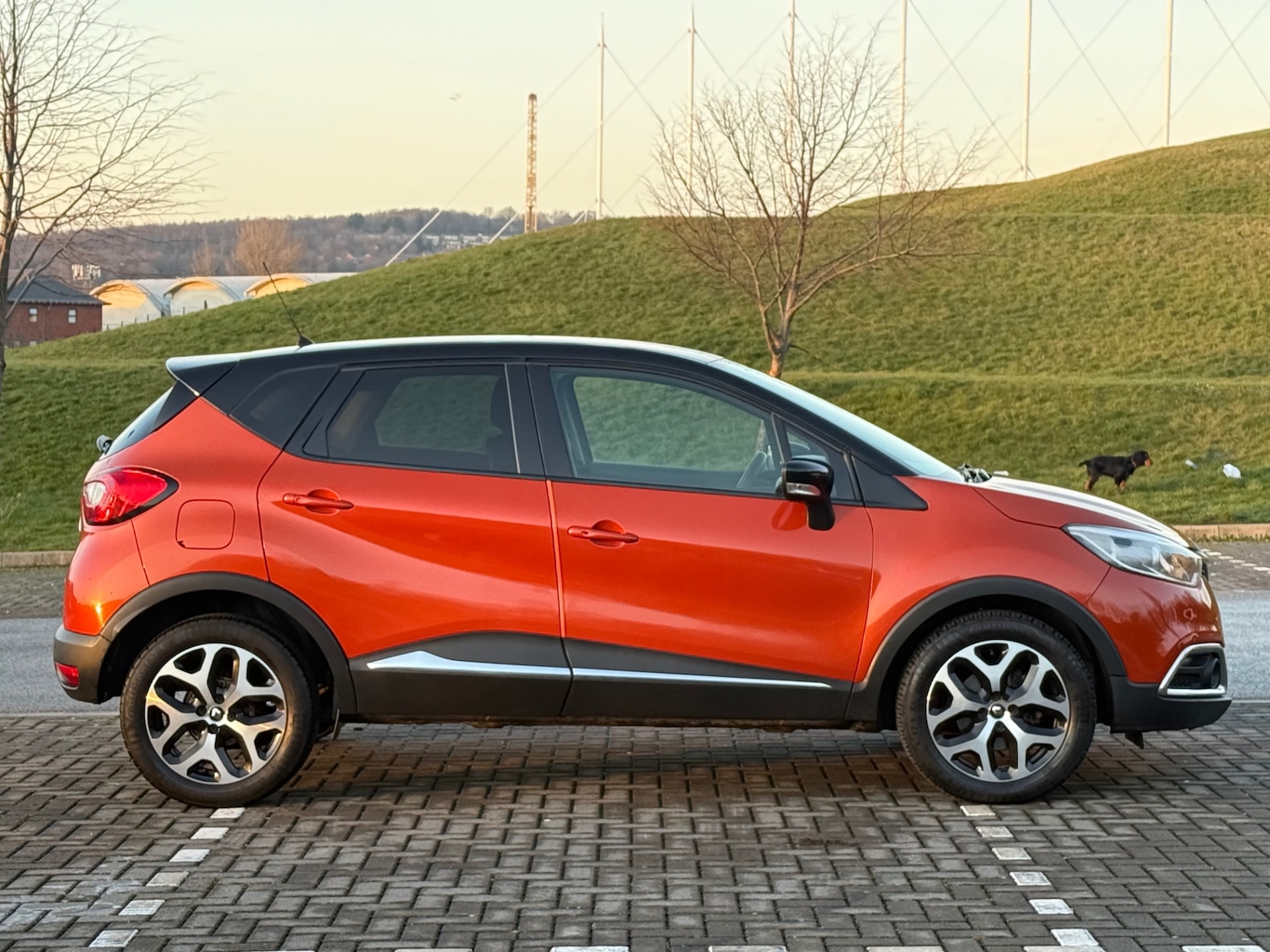 Used Renault Captur 2016 for sale - 77168575: Photo 8