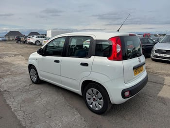 Used Fiat Panda 2016 for sale - 79697041: Photo