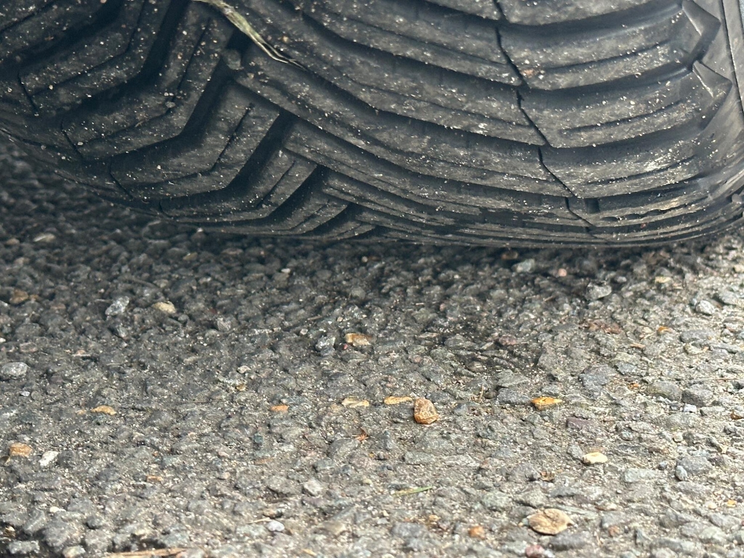 Used Audi A4 2015 for sale - 77330670: Photo 74