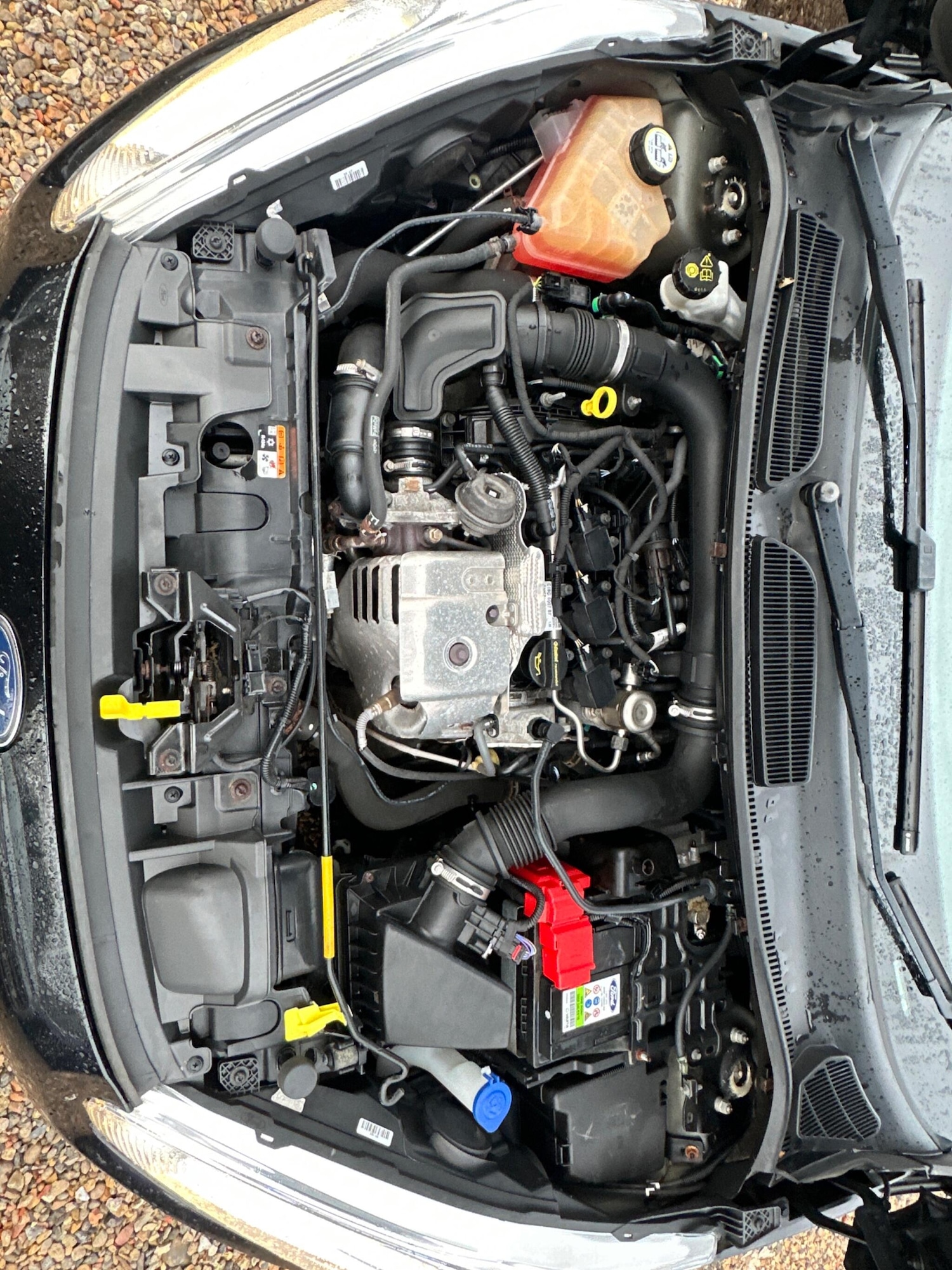 Used Ford Fiesta 2016 for sale - 76984898: Photo 35