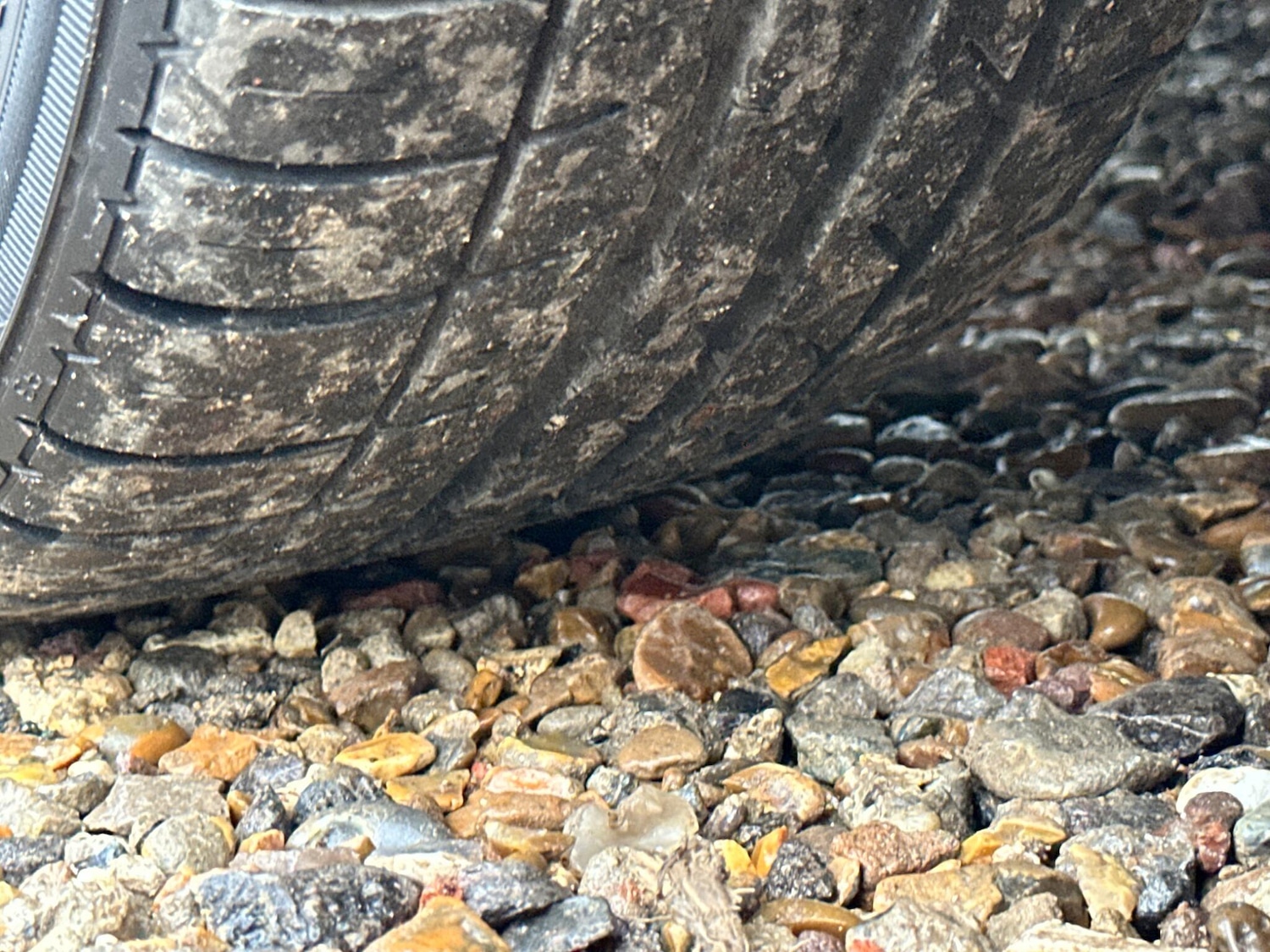 Used Ford Fiesta 2016 for sale - 76984898: Photo 50