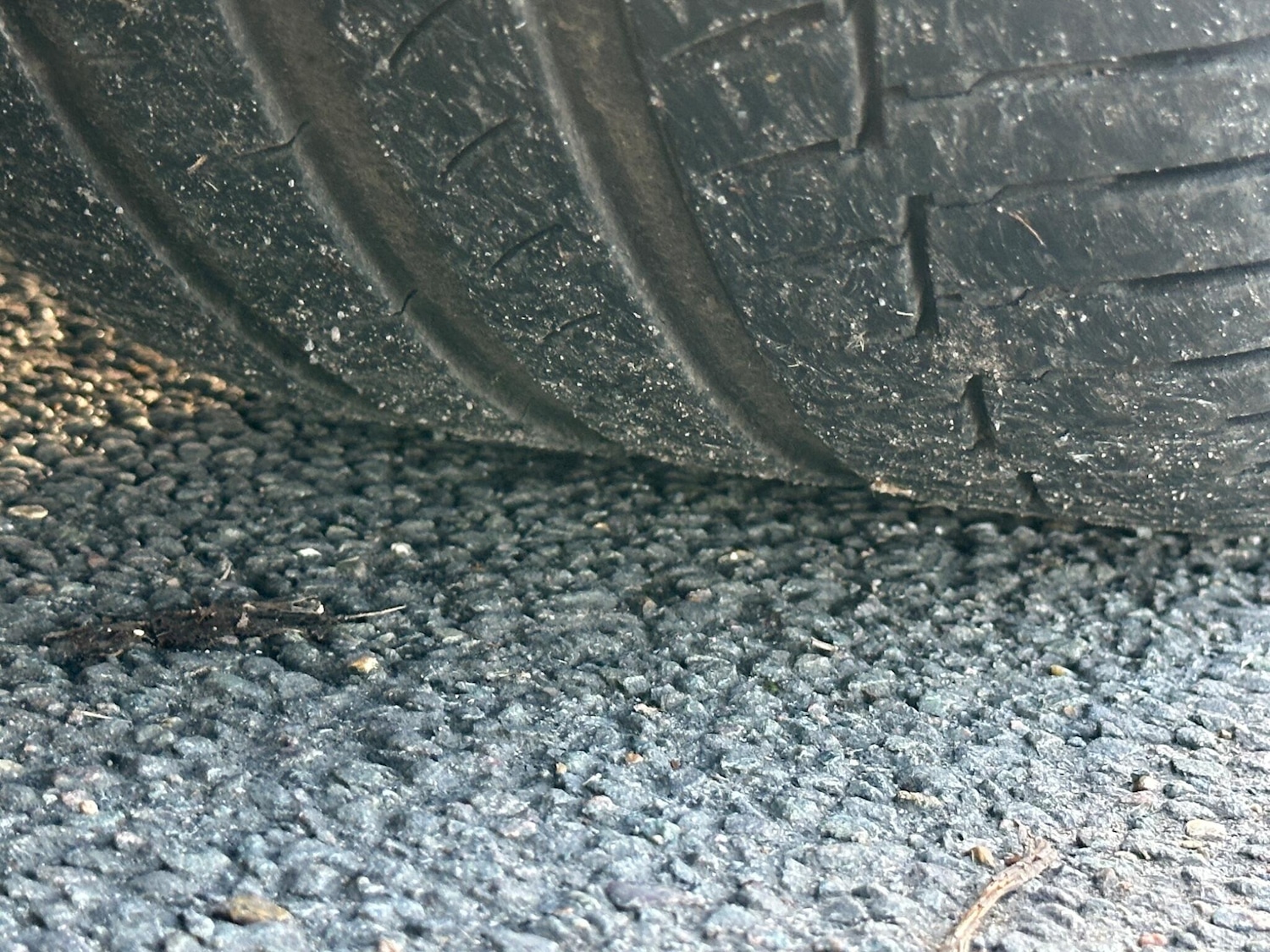 Used Ford Focus 2014 for sale - 76984903: Photo 64