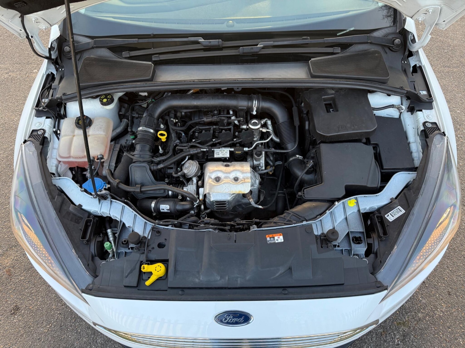 Used Ford Focus 2017 for sale - 76984904: Photo 60