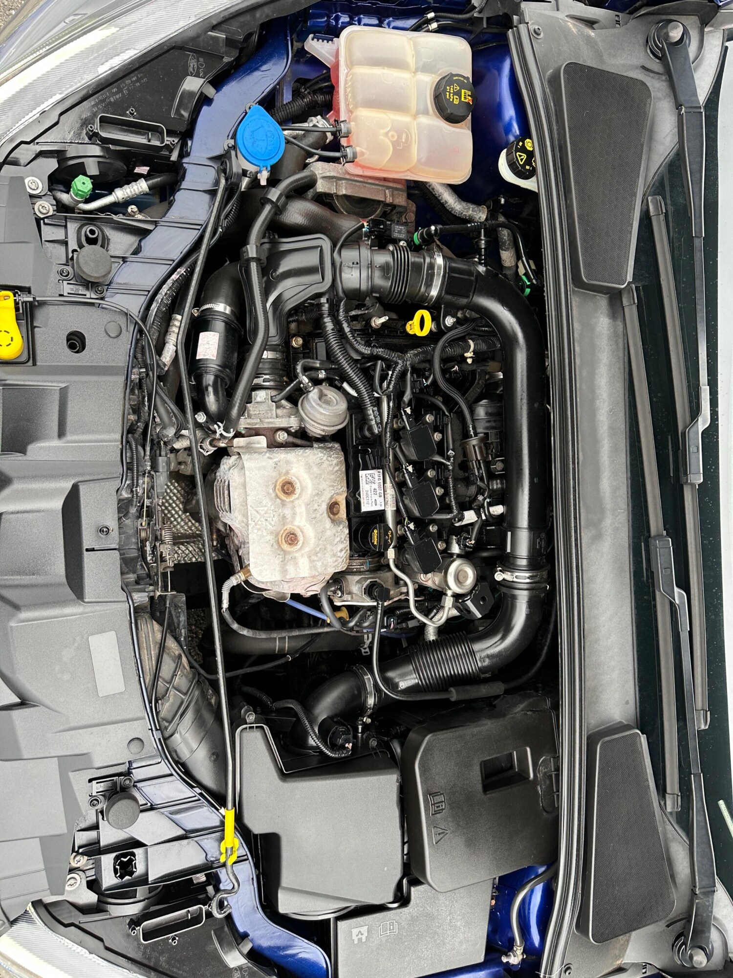 Used Ford Focus for sale - 77909007: Photo 51