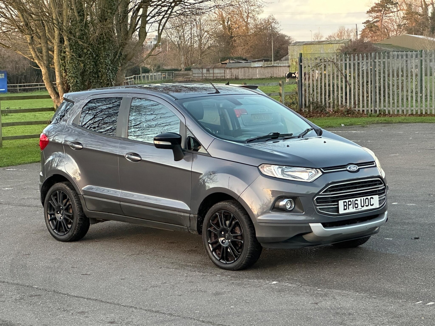 Used Ford Ecosport 2016 for sale - 77015325: Photo 5