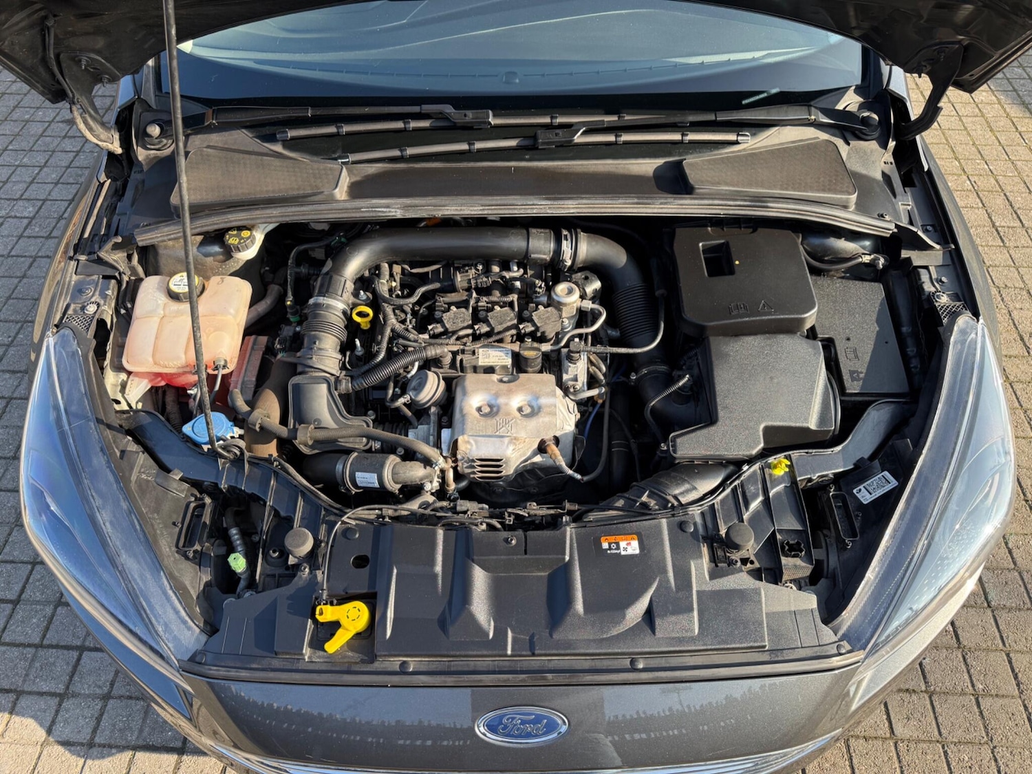 Used Ford Focus for sale - 77752848: Photo 64