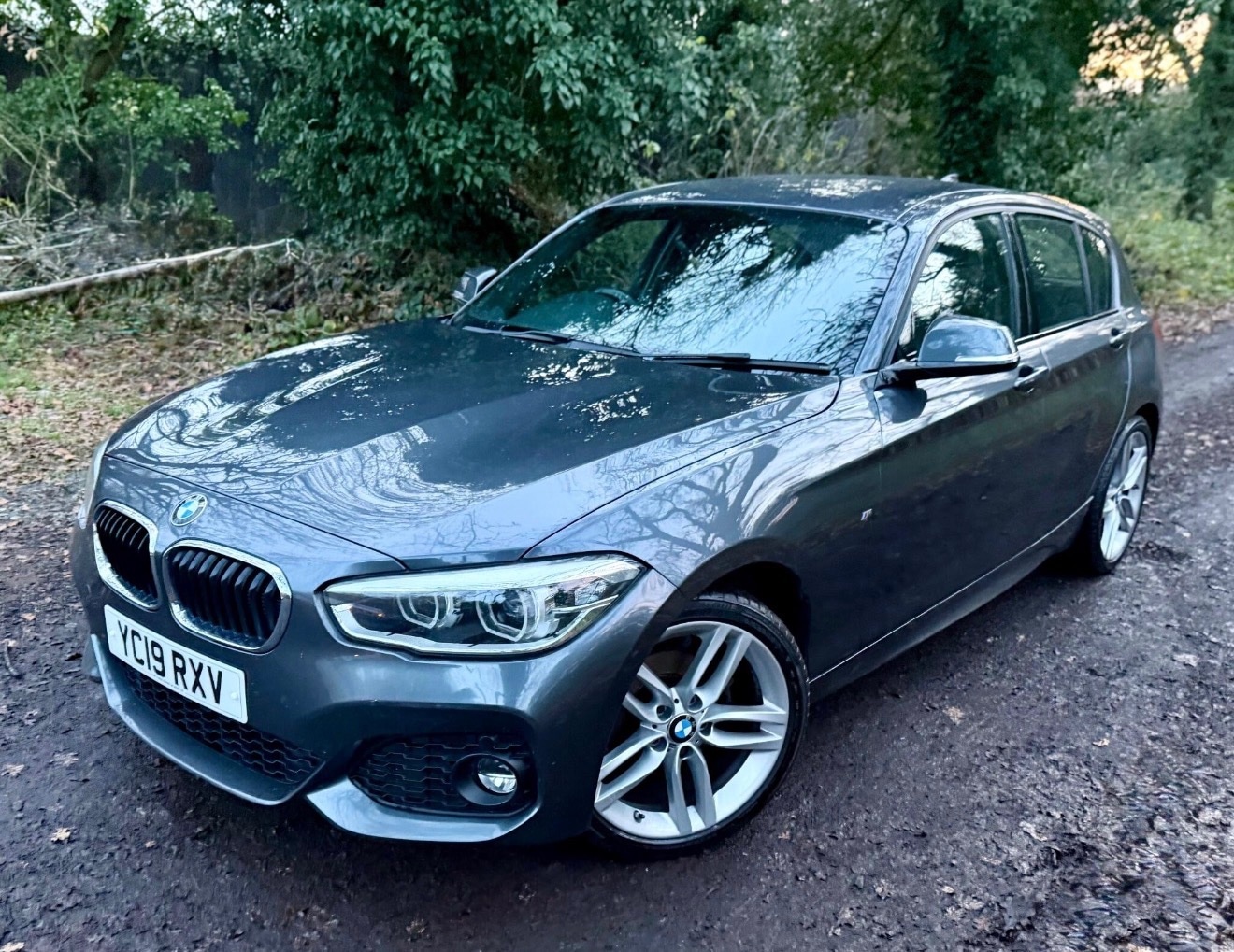 Used BMW 1 Series 2019 for sale - 77033717: Photo 10