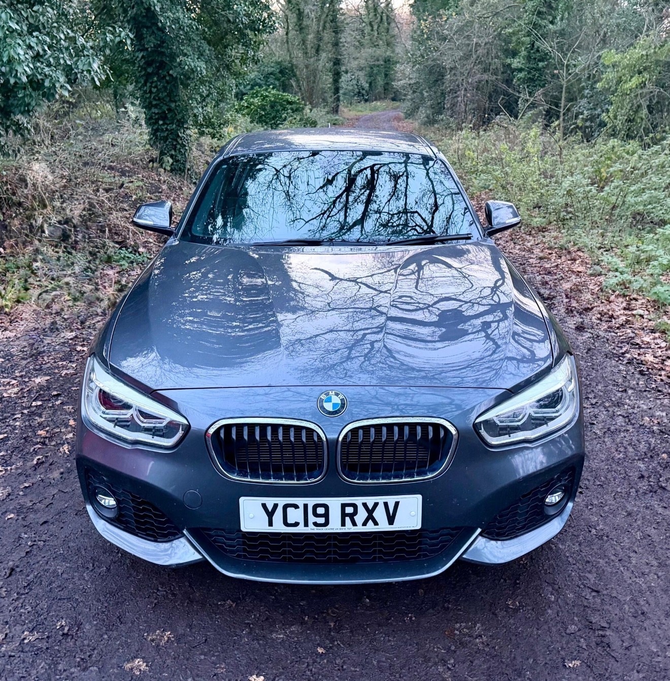 Used BMW 1 Series 2019 for sale - 77033717: Photo 3