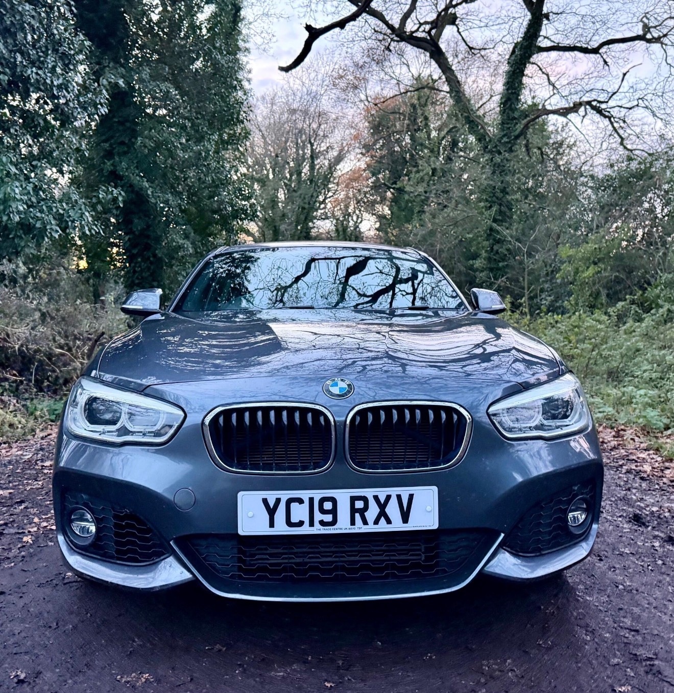 Used BMW 1 Series 2019 for sale - 77033717: Photo 4