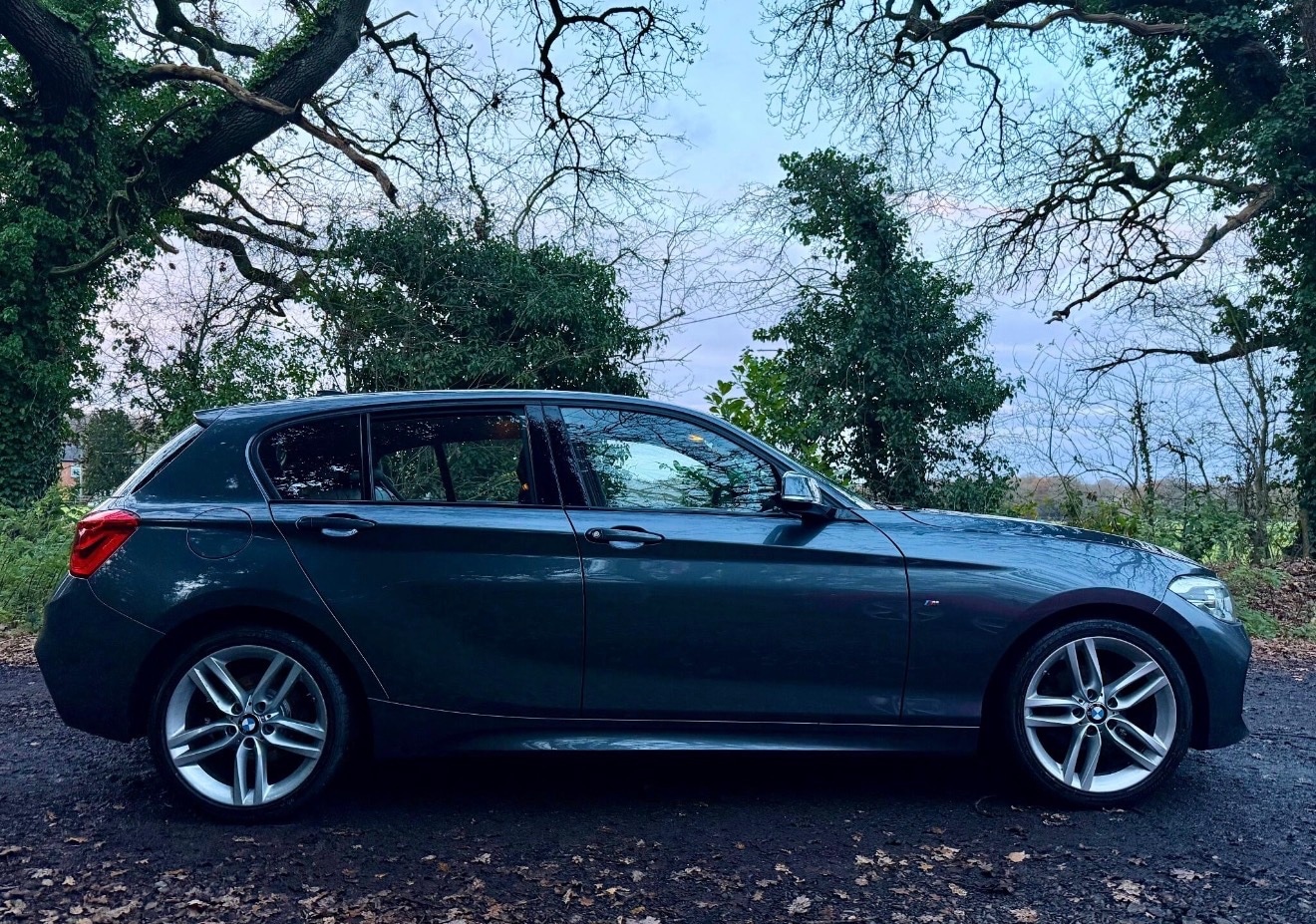 Used BMW 1 Series 2019 for sale - 77033717: Photo 9