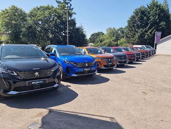 Used Peugeot 5008 2024 for sale - 78264340: Photo