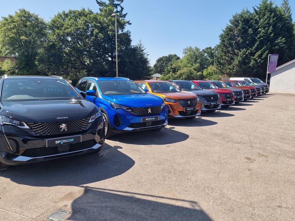 Used Peugeot 308 2017 for sale - 77268996: Photo 5