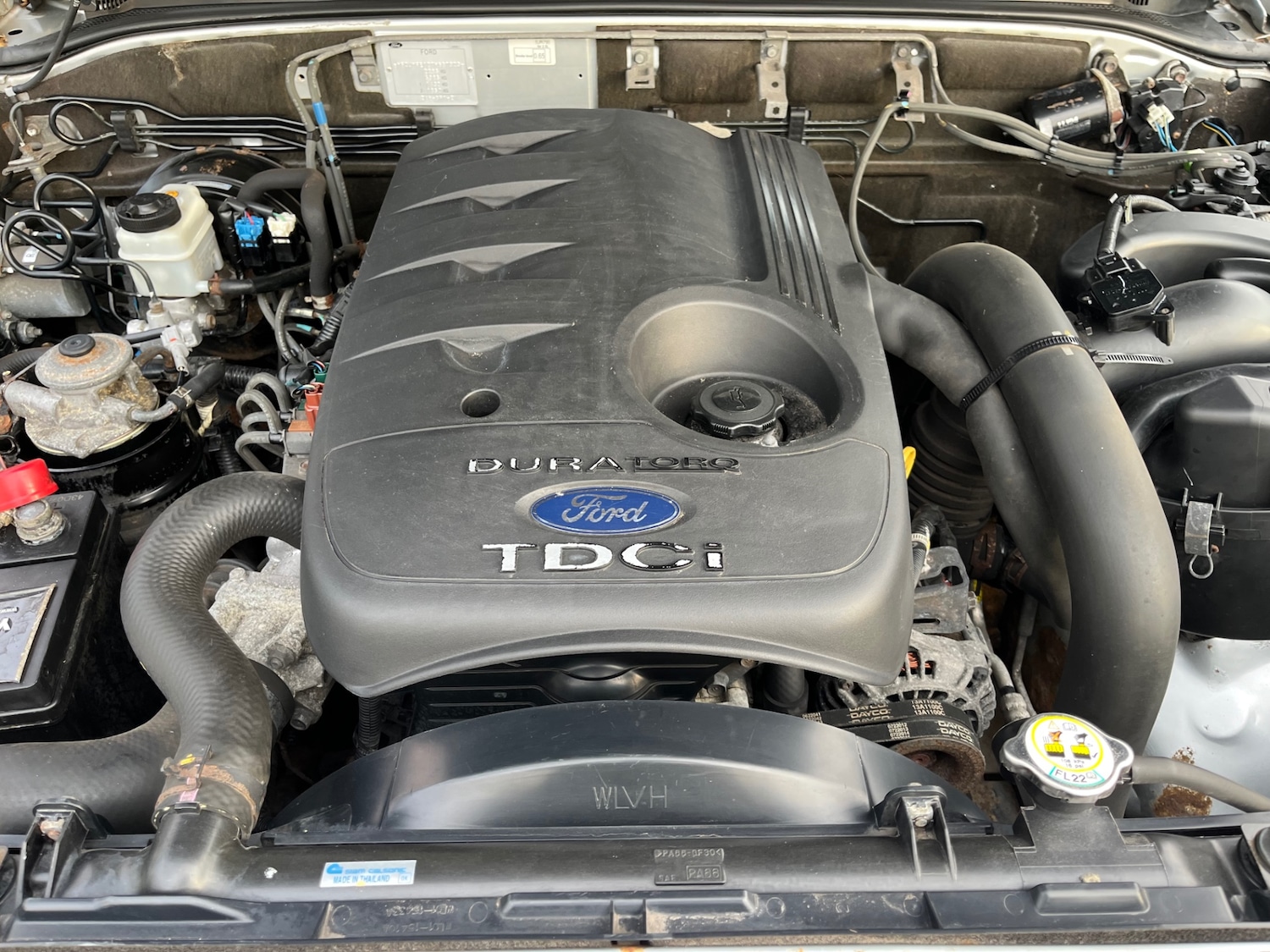 Used Ford Ranger 2008 for sale - 76482724: Photo 3