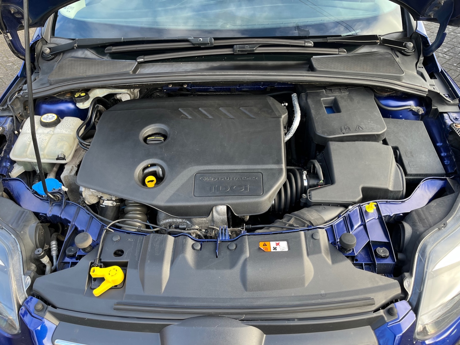 Used Ford Focus 2014 for sale - 77228346: Photo 3