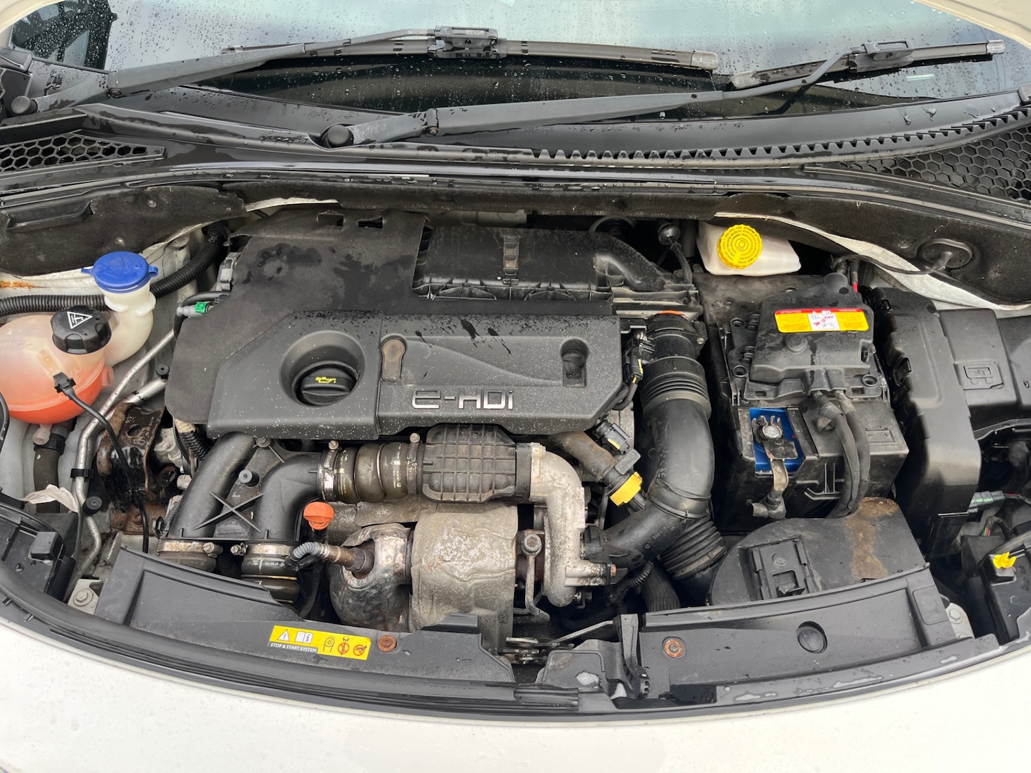 Used Citroen DS3 2011 for sale - 78045345: Photo 2