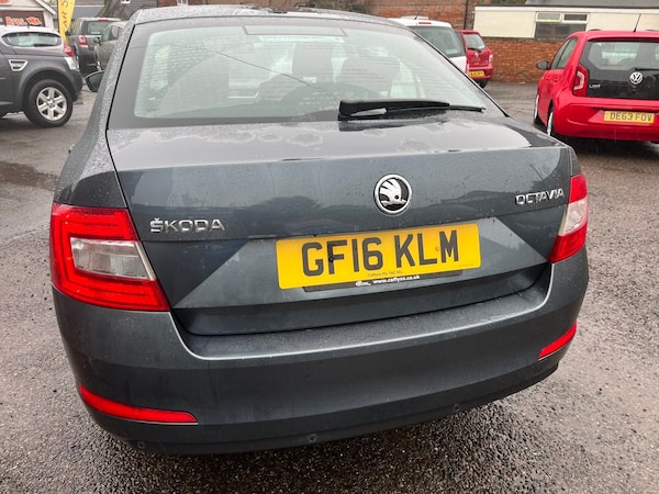 Used Skoda Octavia 2016 for sale - 76159744: Photo 4