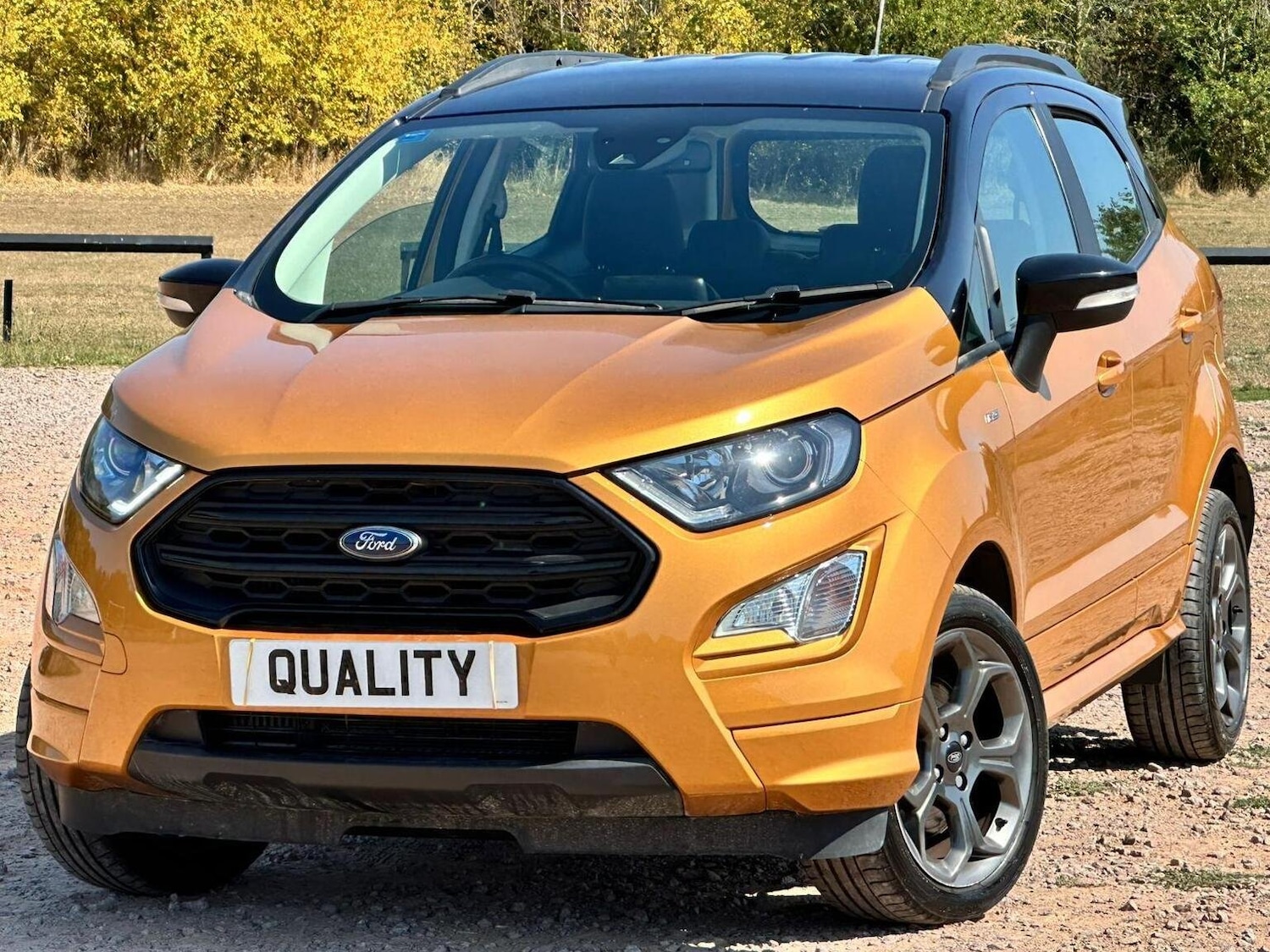Used Ford Ecosport 2020 for sale - 76794314: Photo 3
