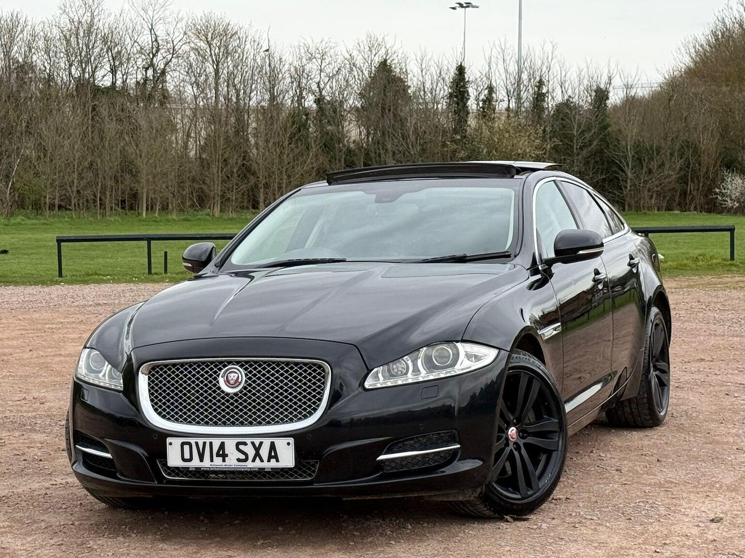 Used Jaguar XJ 2014 for sale - 77906594: Photo 3