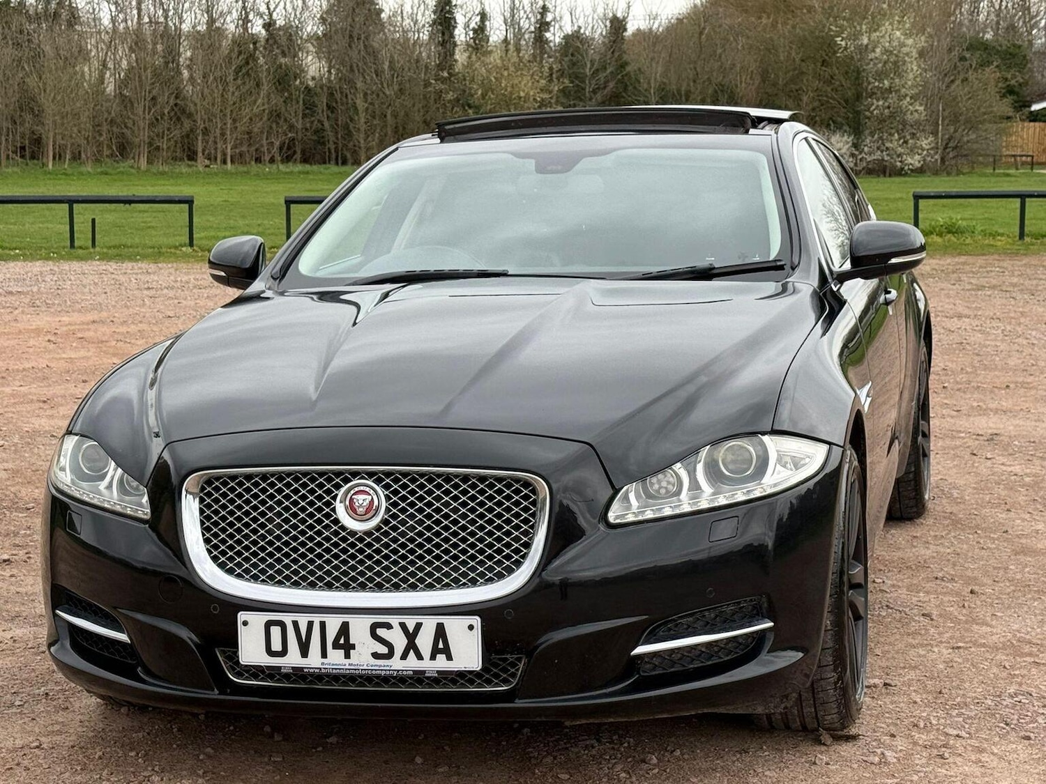 Used Jaguar XJ 2014 for sale - 77906594: Photo 7