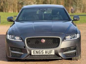 Used Jaguar XF 2016 for sale - 74239644: Photo