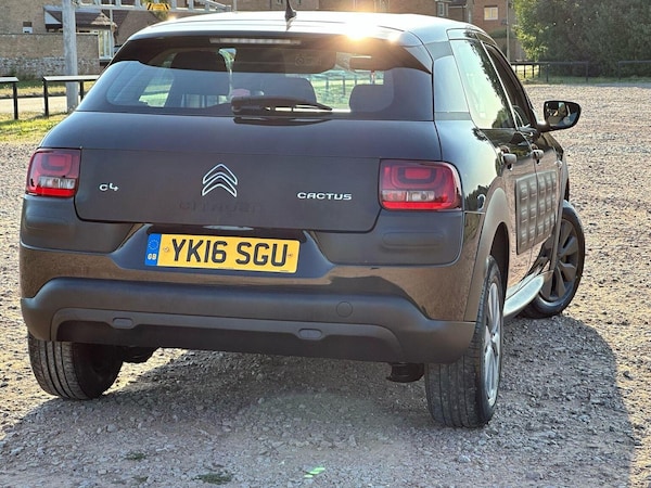 Used Citroen C4 Cactus 2016 for sale - 75550271: Photo 13